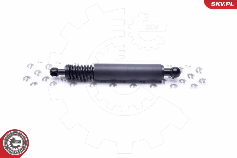 Gas Spring, boot/cargo area